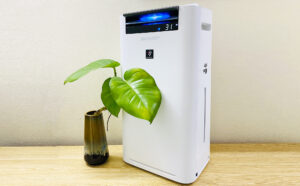 Hình ảnh thực tế máy lọc không khí và tạo ẩm Sharp Sharp KC-G40EV-W