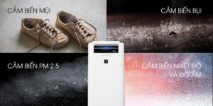 Chế độ AUTO thông minh