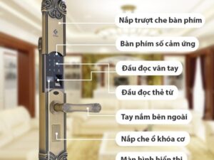 Kitos KT-C200 với nhiều tính năng