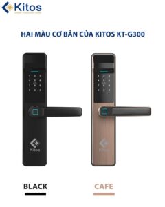 Kitos KT-G300 với 2 màu sắc cơ bản đen và đồng 