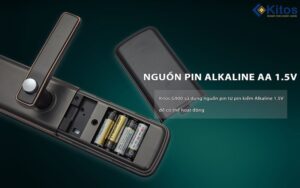 Nguồn pin Alkaline AA 1.5V