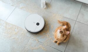 Tự động làm việc với tính năng hẹn giờ